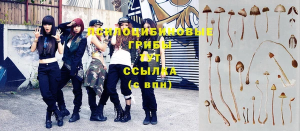 соль курить ск Аркадак