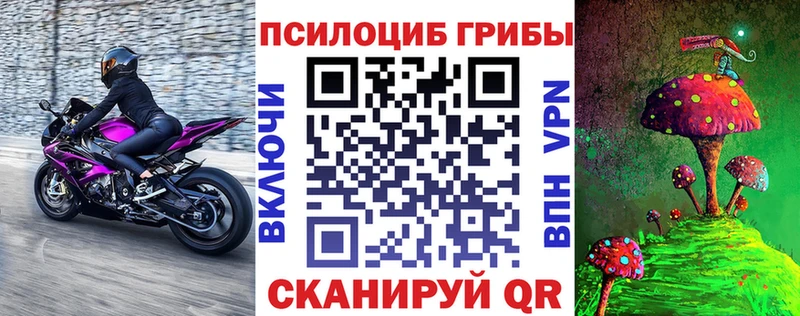 Псилоцибиновые грибы мицелий  Боровск 